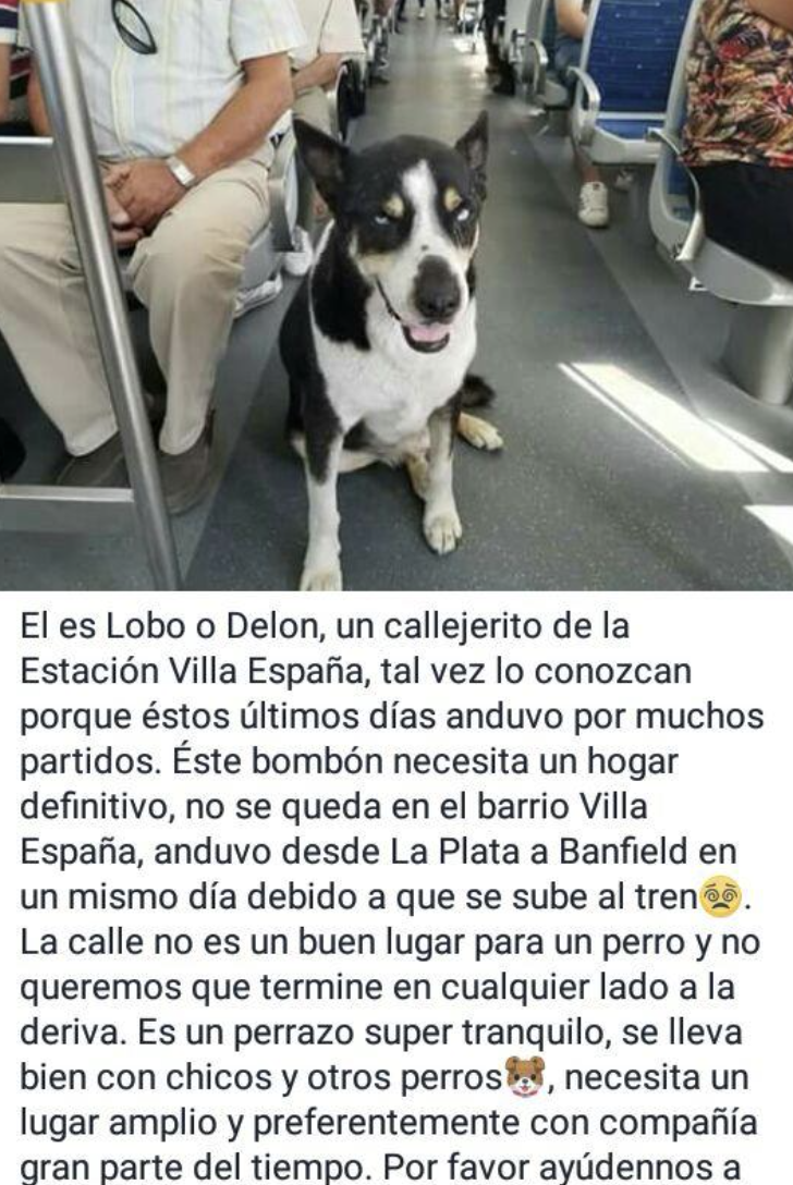 Ojitos en el tren